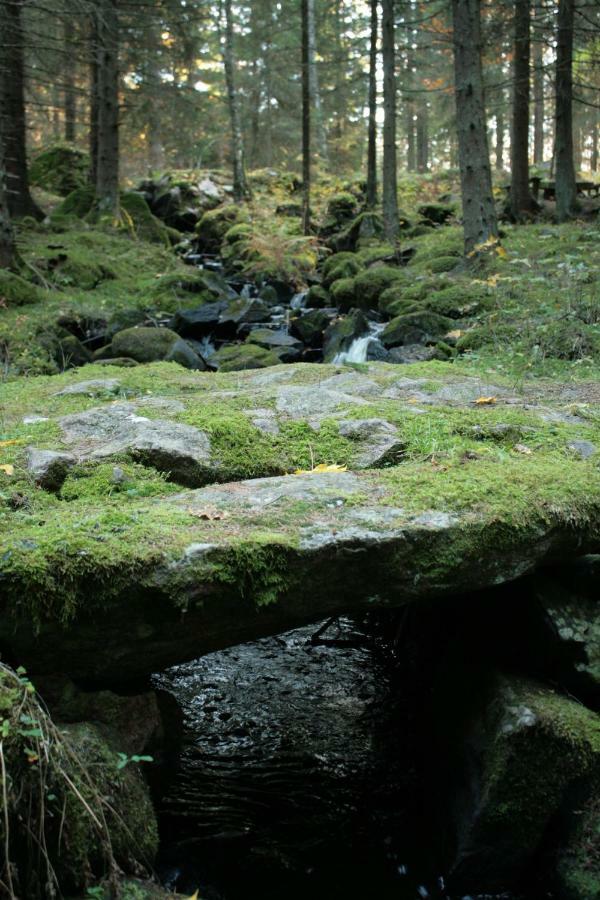 Draengstugan I Humla Blidsberg Экстерьер фото